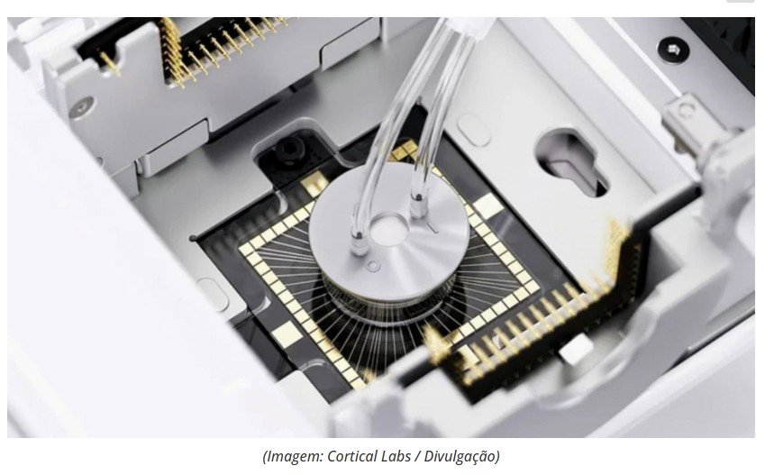 Computador feito à base de neurônios humanos já está à venda