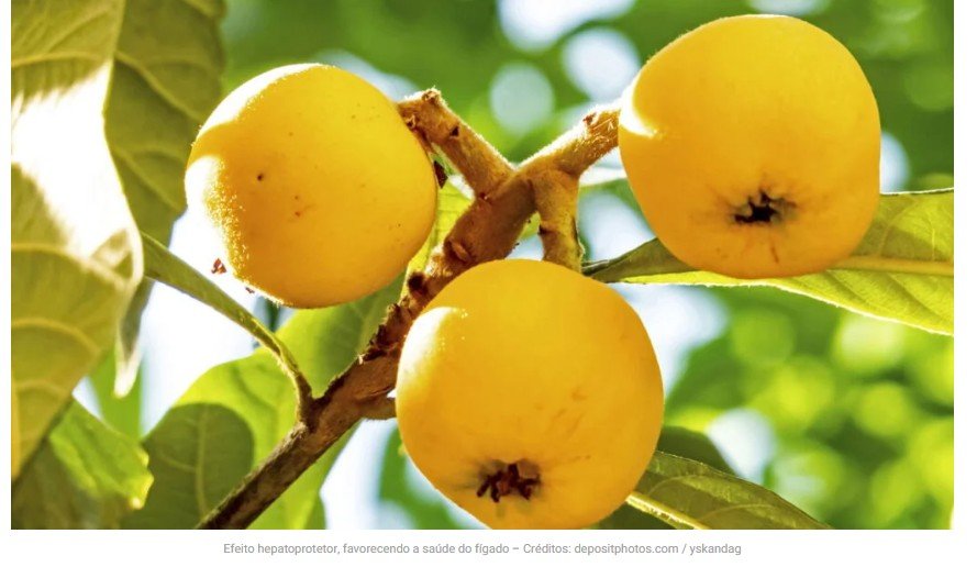 O fruto mais completo da natureza para regenerar o fígado