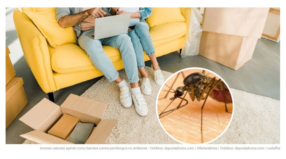 As 4 plantas que afastam pernilongos de dentro de casa