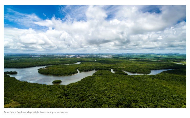 Cientistas descobrem nova espécie de peixe gigante na Amazônia