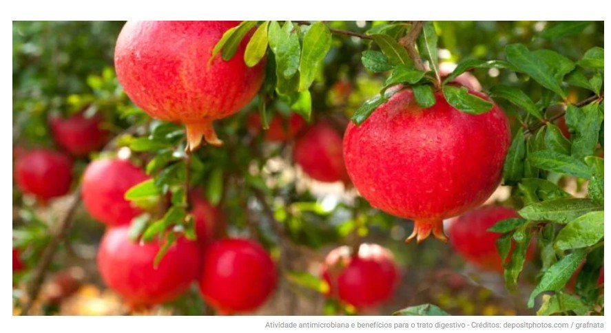 A fruta que protege a pele e estimula o crescimento capilar