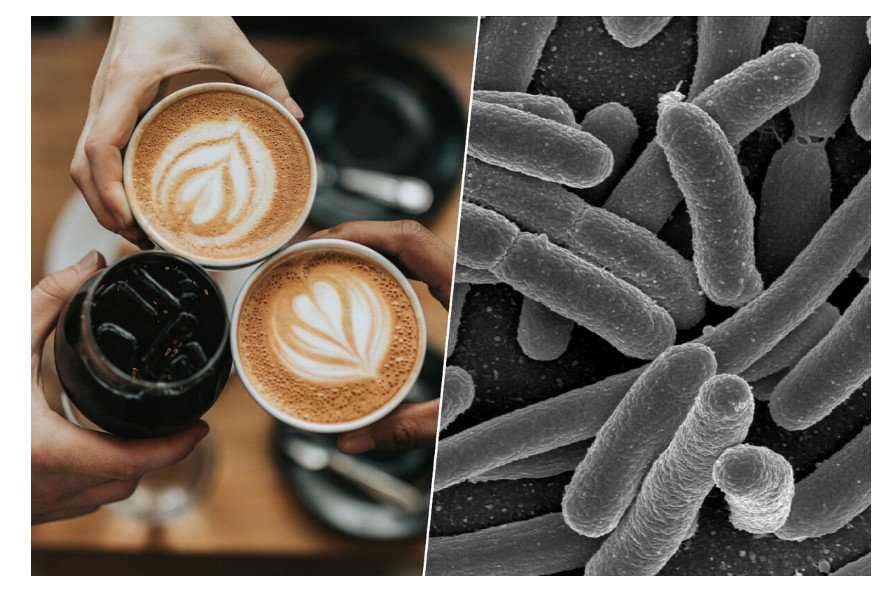Sabíamos que o café era bom para a saúde, mas agora descobrimos que ele é um grande aliado da nossa microbiota