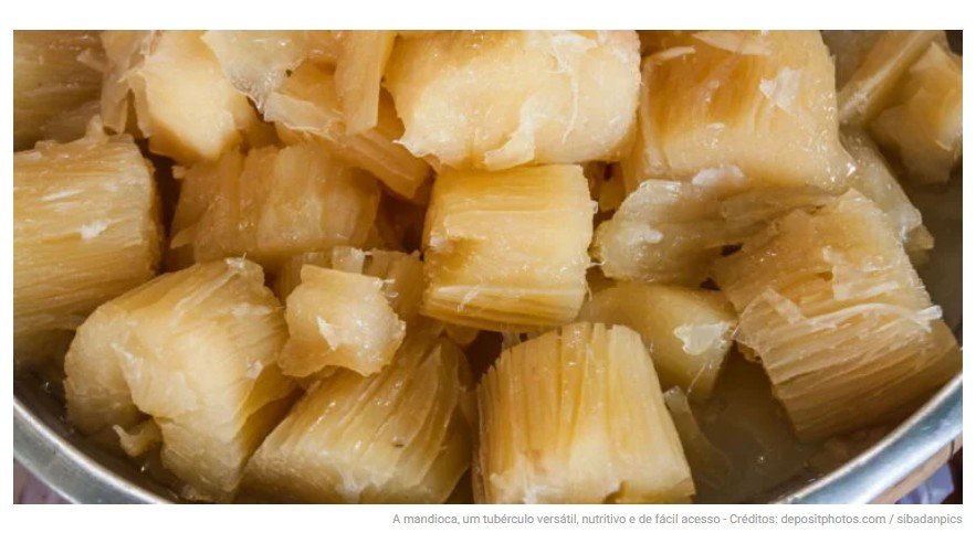 O alimento mais completo para energia, digestão e saúde cardiovascular
