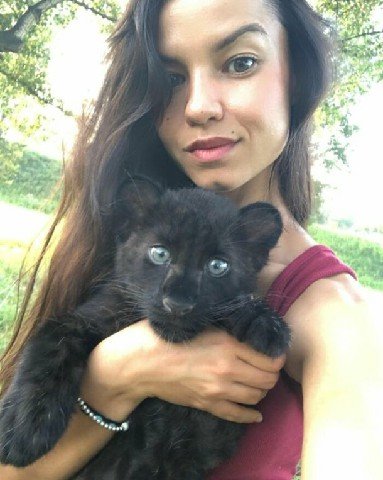 PANTERA ABANDONADA PELA MÃE É CRIADA POR MULHER E UM ROTTWEILER