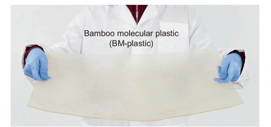 Plástico de bambu atinge resistência industrial, é reciclável e biodegradável