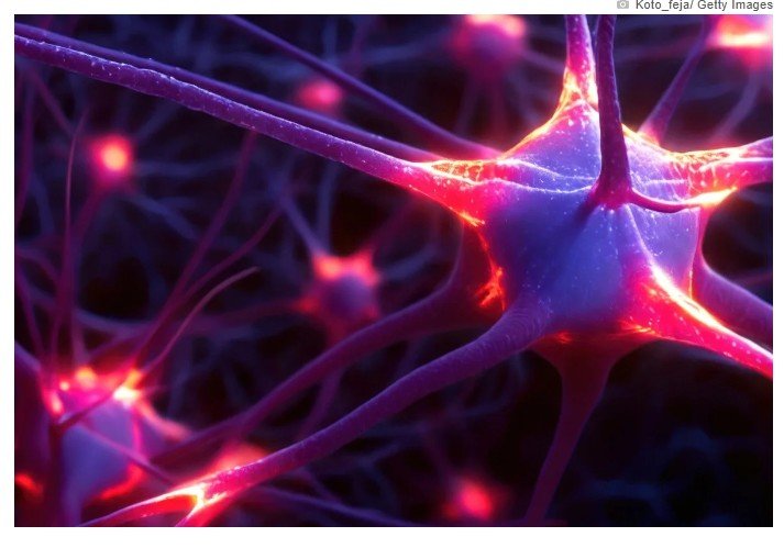 Pela primeira vez, neurônios artificiais funcionam como os biológicos