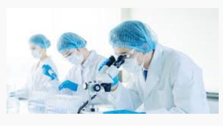 Cientistas criam rim “universal” compatível com todos os tipos sanguíneos