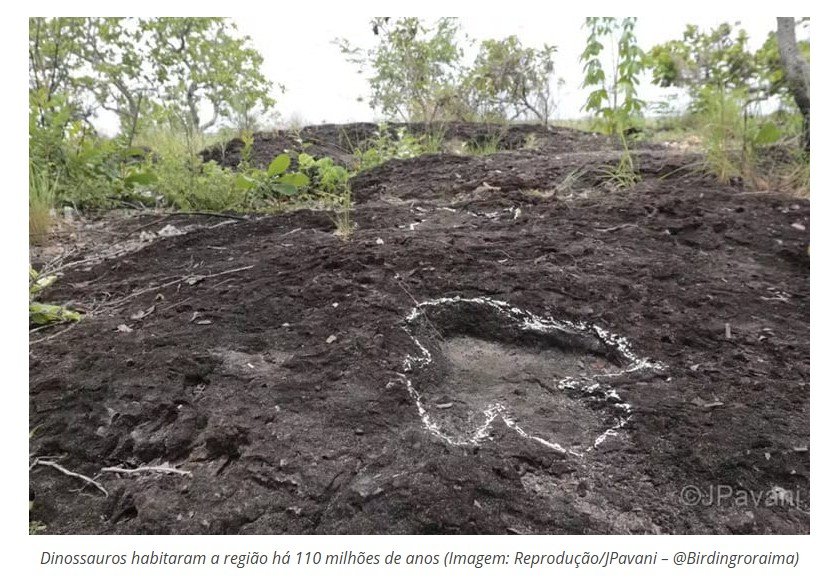Pegadas de dinossauros são descobertas na Amazônia