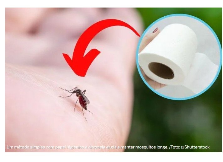 Adeus mosquitos: aprenda o truque do papel higiênico