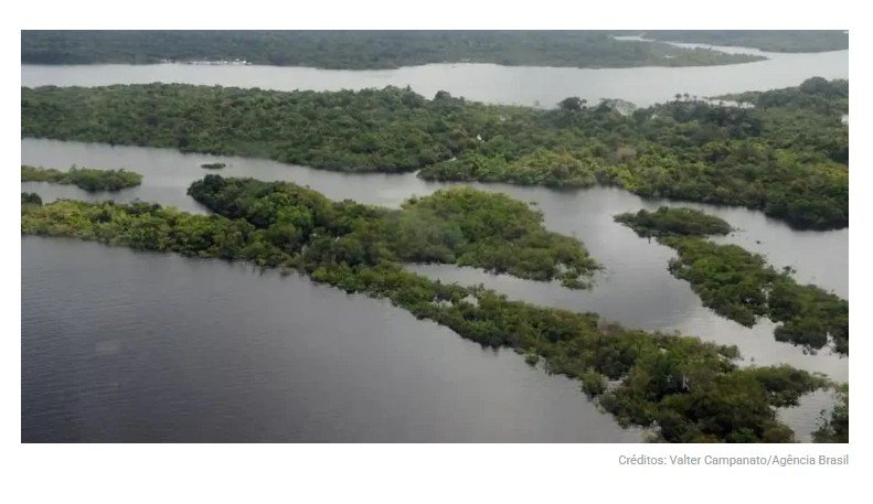 Cientista faz comunicado sobre pandemia sendo gerada na Amazônia