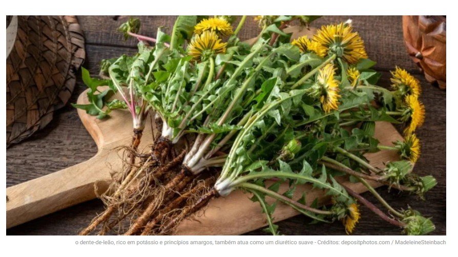 A erva que limpa o fígado e ainda reduz o inchaço de forma natural