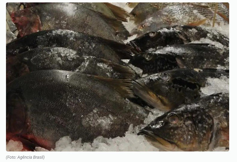 O peixe originário do Brasil que cruzou oceanos e hoje é produzido em escala industrial pela China