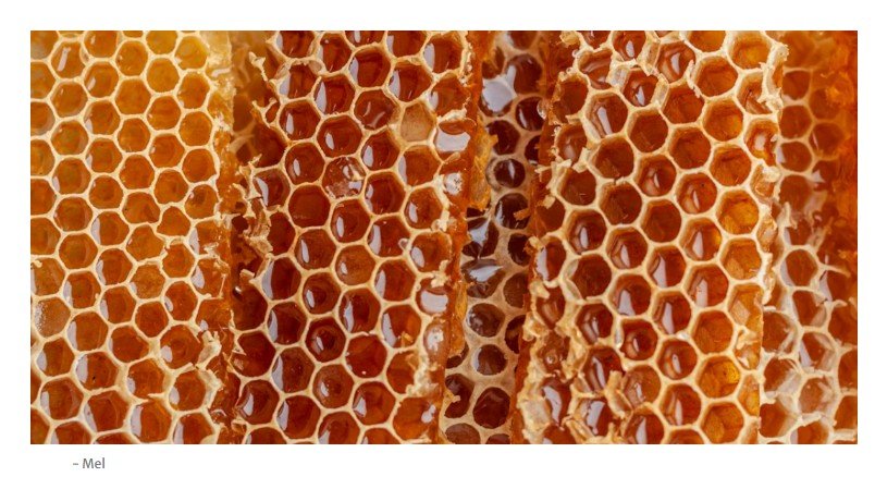 “Sabor único e defumado”: o novo tipo de mel que intriga cientistas