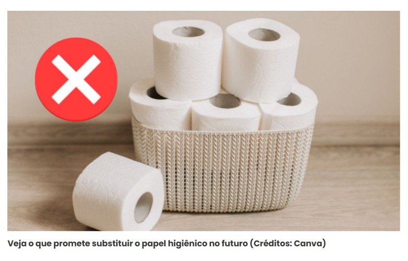 A era do papel higiênico está chegando ao fim, à medida que mais e mais pessoas optam por alternativas mais eficientes