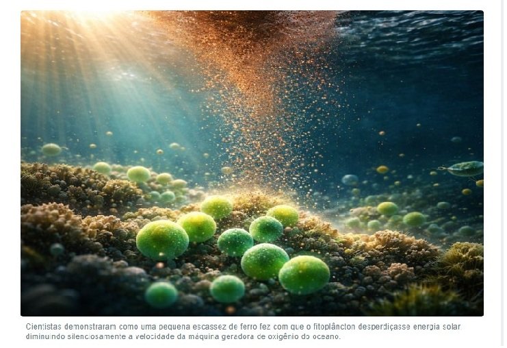 Cientistas descobrem o minúsculo componente oceânico que mantém funcionando o motor de oxigênio da Terra