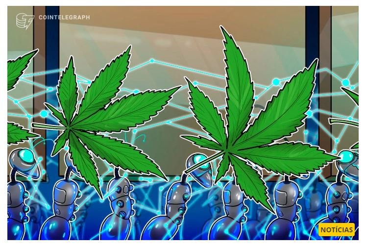 Alta do Bitcoin é 'fichinha': Quem investiu em maconha lucrou até 161.900% em 4 anos