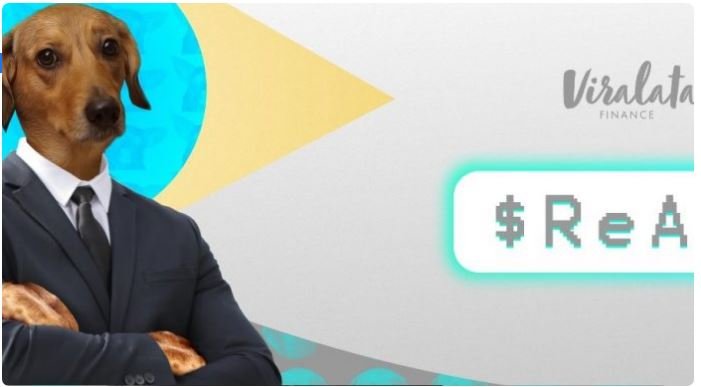 Brasileiro cria 'Vira-Lata Finance', criptomoeda rival do Dogecoin