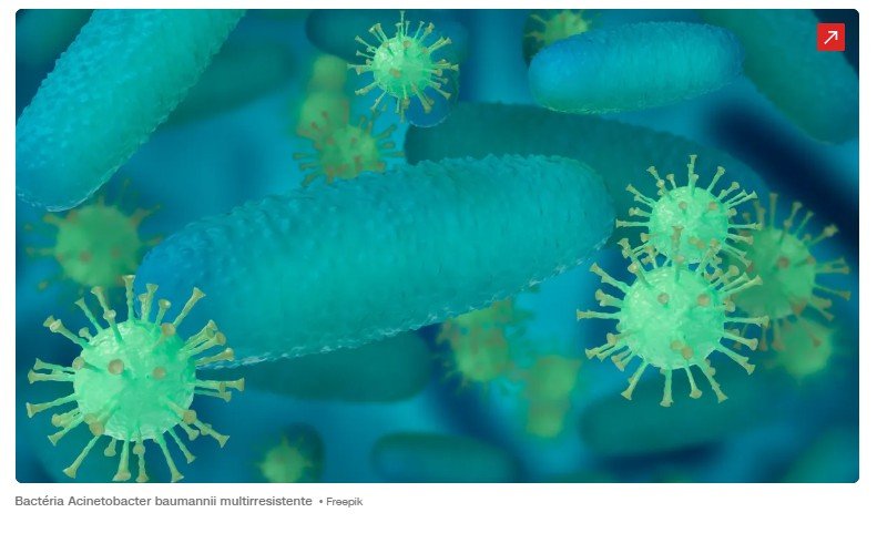 Cientistas descobrem açúcar que derrota bactérias resistentes a antibiótico
