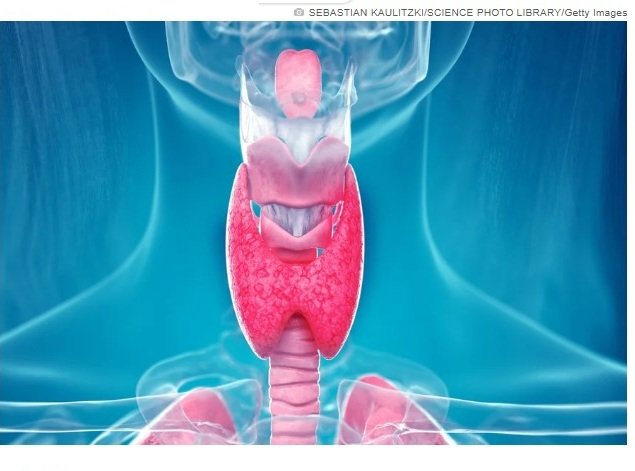 Endocrinologista aponta suplementos que podem prejudicar a tireoide