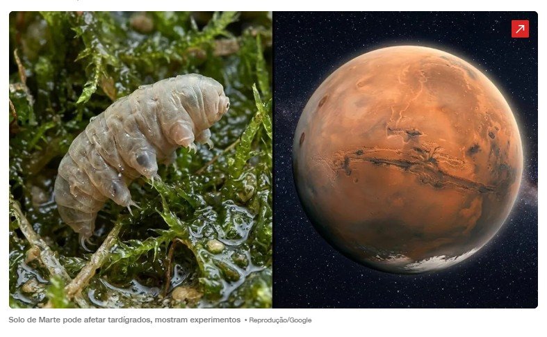 Animal mais forte da Terra é colocado em solo de Marte: resultado espanta