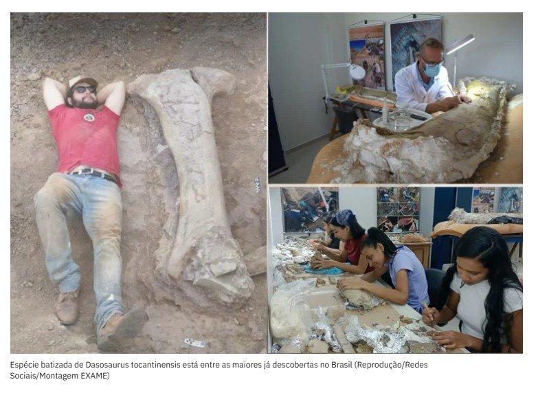 Cientistas descobrem nova espécie de dinossauro gigante no Brasil