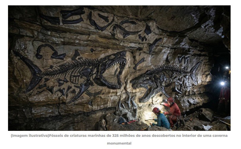 Duas novas espécies de criaturas marinhas de 325 milhões de anos são encontradas na maior caverna do mundo