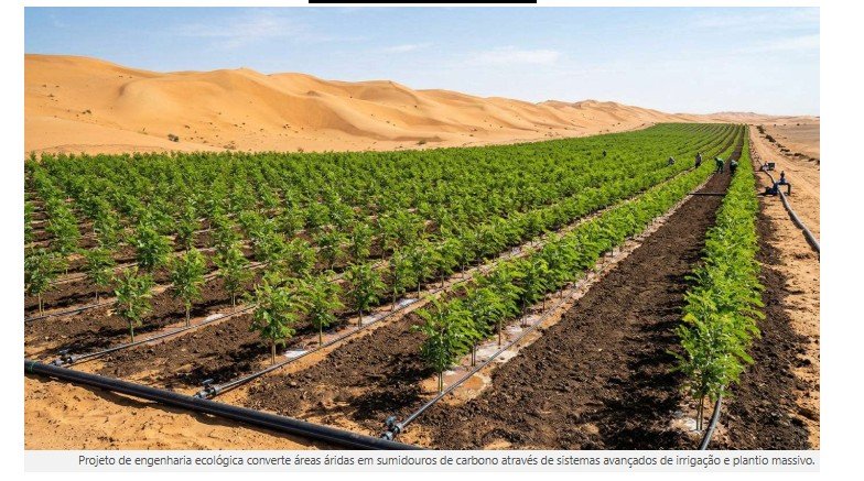 A China está transformando o Deserto de Takla Makan, que com 337.000 km² tem quase o tamanho da Polônia, em um “pulmão na areia”: