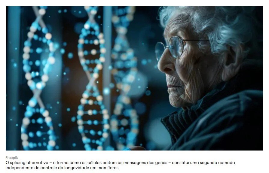 Cientistas Descobrem um Novo Eixo Biológico que Determina Quanto Tempo Vivemos