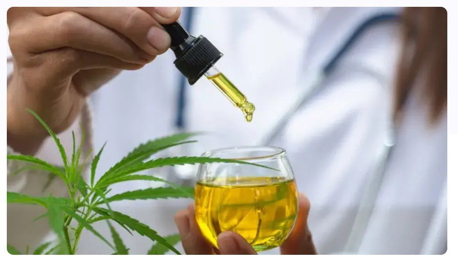 Experimentos apontam potencial do canabidiol para reverter danos do Alzheimer