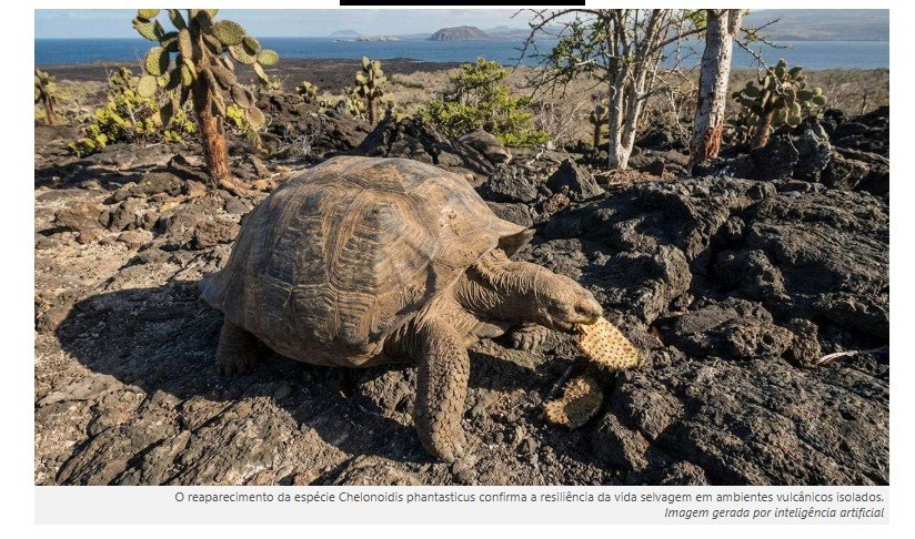 Uma tartaruga gigante, extinta há mais de um século, reapareceu viva após várias expedições fracassadas, revivendo um plano histórico para salvar a espécie, um símbolo da evolução