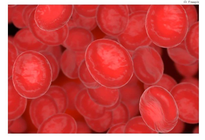 Cientistas ganham prêmio por desenvolver cura para a anemia falciforme
