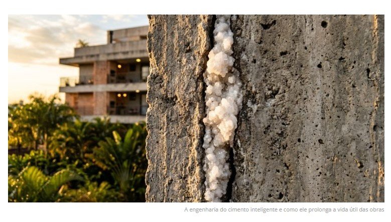 Holanda, Reino Unido e Singapura começam a adicionar bactérias na mistura do concreto e criam paredes que consertam as próprias rachaduras sozinhas