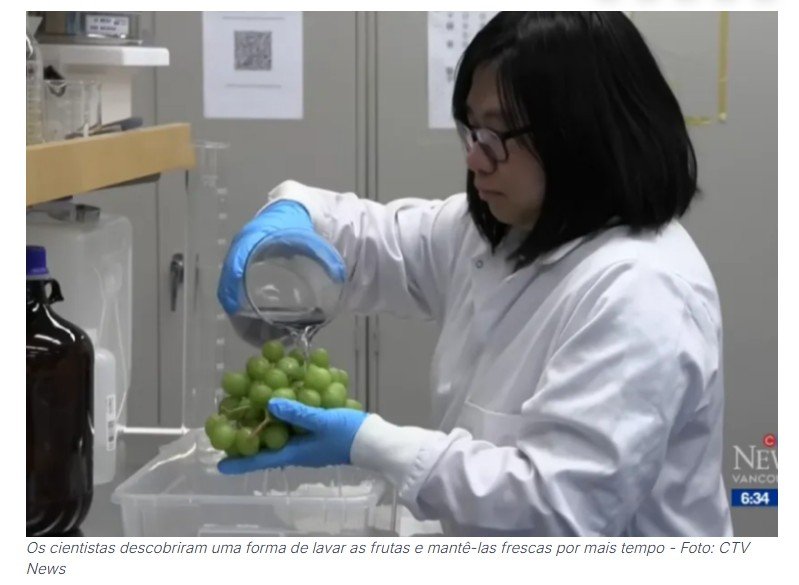 Cientistas descobrem nova maneira de manter as frutas frescas por mais tempo