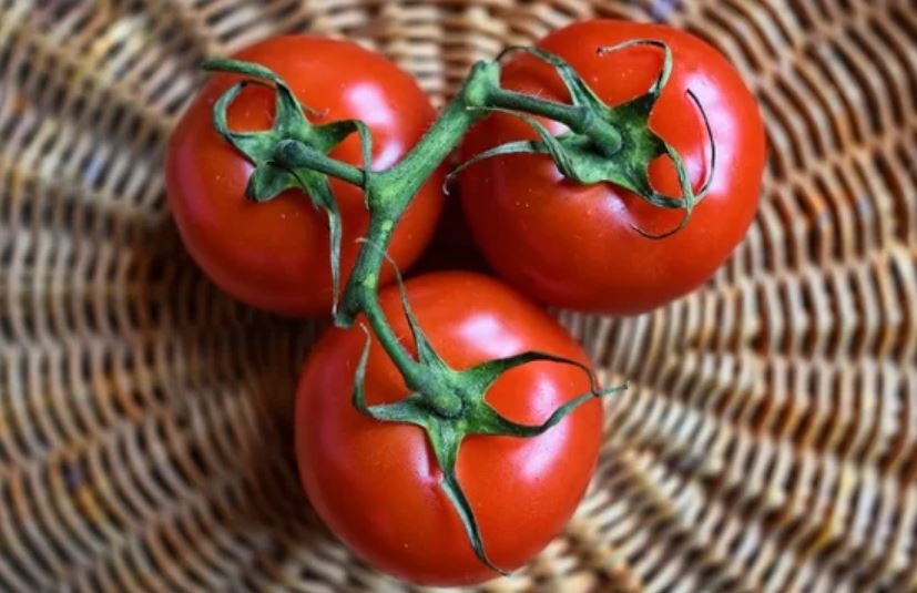 4 COISAS QUE VOCÊ PROVAVELMENTE NÃO SABIA QUE ERAM VENENOSAS