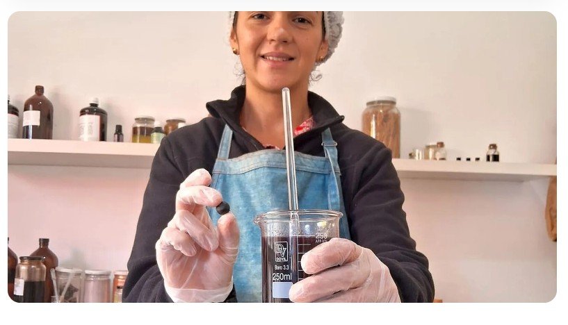 Fruto da palmeira, “açaí da Mata Atlântica” vira bala, geleia e biocosméticos no Paraná