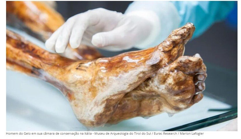 Cientistas revivem levedura de múmia milenar para criar pão artesanal