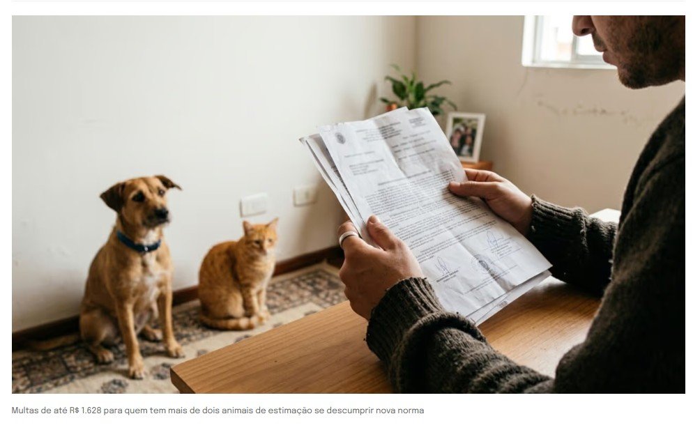 Multas de até R$ 1.628 para quem tem mais de dois animais de estimação se descumprir nova norma