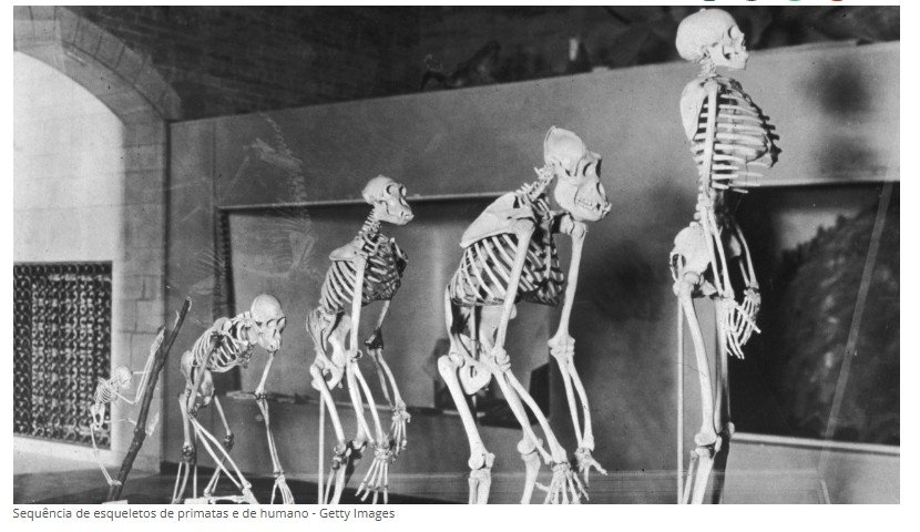 Cientista afirma que nunca houve revolução na evolução humana