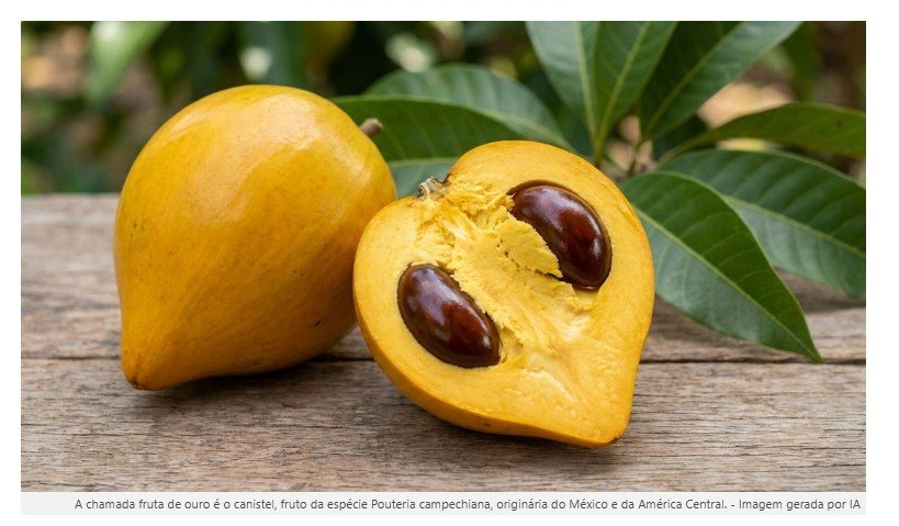 A fruta dourada que tem cor de gema de ovo e sabor de doce de leite e poucos conhecem
