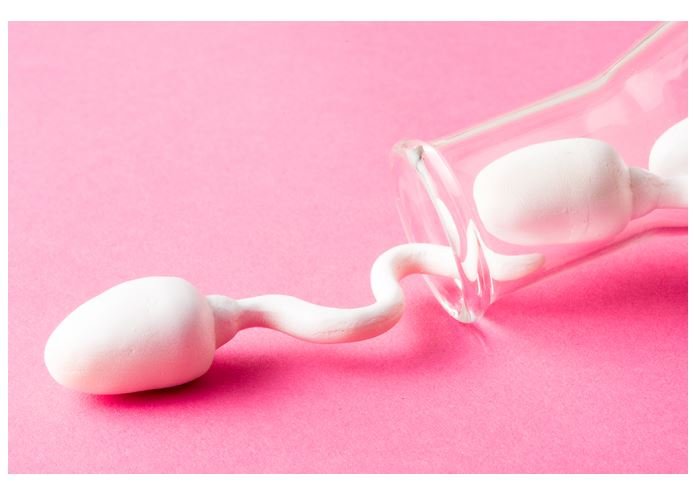 Abortos espontâneos também podem ser culpa dos espermatozoides