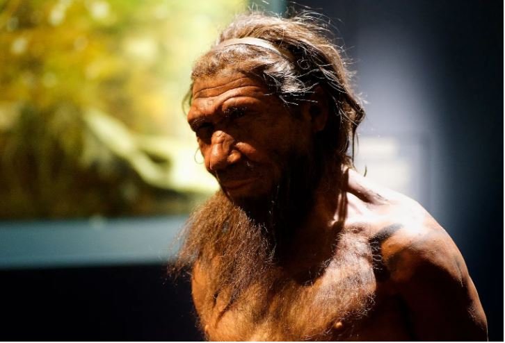 Genes neandertais não estão desaparecendo, mostra estudo