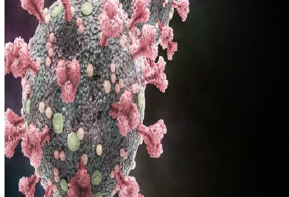 Novo composto pode proteger contra Covid-19, gripe e outras infecções virais