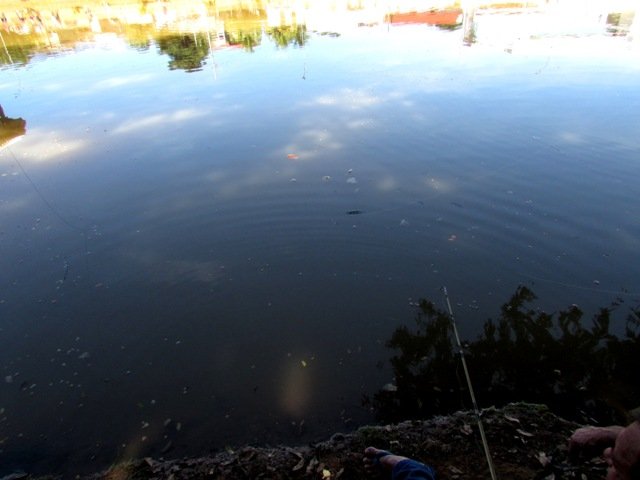 1ª Pesca no Lago dos Pioneiros