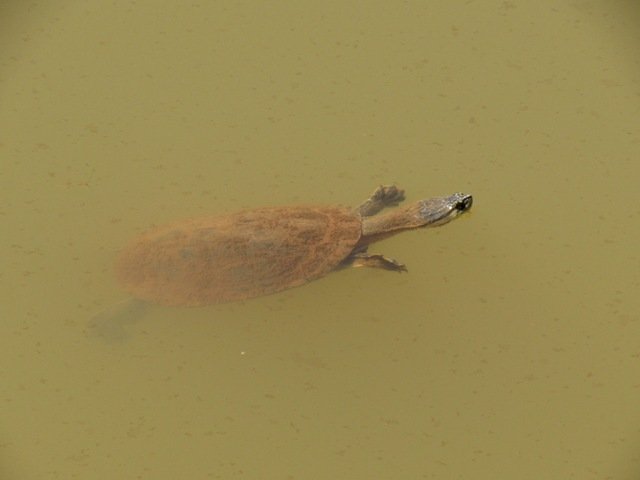 1ª Pesca Lago dos Pioneiros parte 02