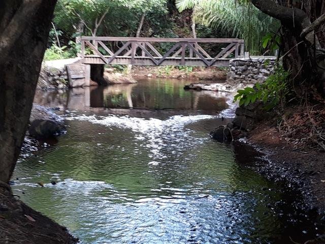 Cachoeira da Familia Colider