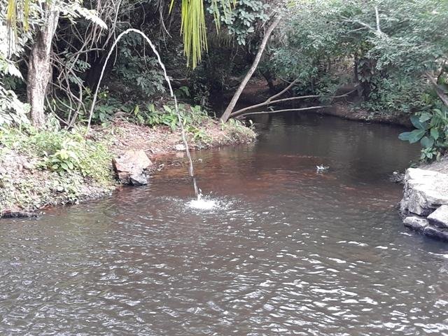 Cachoeira da Familia Colider