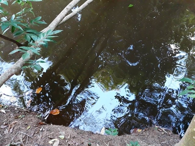 Cachoeira da Familia Colider