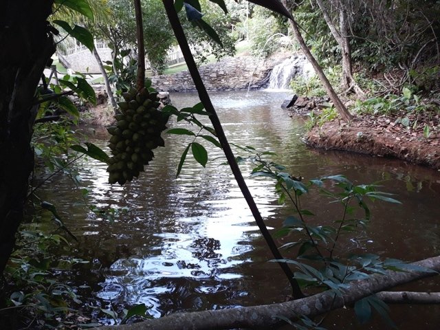 Cachoeira da Familia Colider