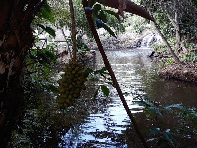 Cachoeira da Familia Colider