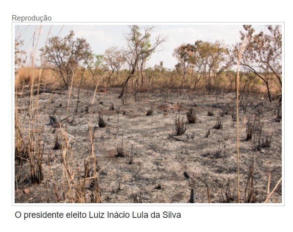 Desmatamento bate recorde no cerrado no 1º trimestre da gestão